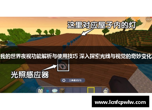我的世界夜视功能解析与使用技巧 深入探索光线与视觉的奇妙变化